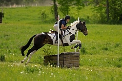 Grandview Horse Trials Low Eventing Cross Country Level Eventing Cross Country Grandview Horse Trials Low Eventing Cross Country Level Eventing Cross Country