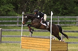 Grandview Horse Trials Low Eventing Cross Country Level Eventing Cross Country Grandview Horse Trials Low Eventing Cross Country Level Eventing Cross Country