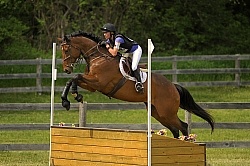 Grandview Horse Trials Low Eventing Cross Country Level Eventing Cross Country Grandview Horse Trials Low Eventing Cross Country Level Eventing Cross Country