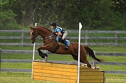 Grandview Horse Trials Low Eventing Cross Country Level Eventing Cross Country Grandview Horse Trials Low Eventing Cross Country Level Eventing Cross Country