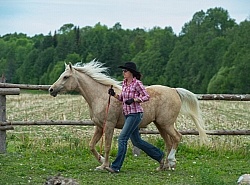 Natural Horsemanship through Obstacles