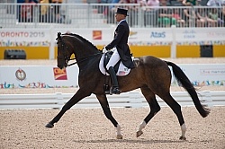 Steffen Peters and Legolas 92 GP Freestyle Gold  at Pan Ams Toro