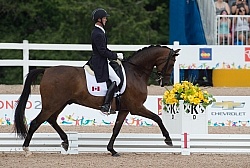 Chris Von Martels  and Zilverstar, Dressage, Pan Am Games Toront