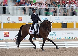 Chris Von Martels  and Zilverstar, Dressage, Pan Am Games Toront