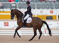 Chris Von Martels  and Zilverstar, Dressage, Pan Am Games Toront
