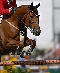 Chris Pratt Riding Rivendell  Westphalen Gelding at WEG 2006 A Protective Boots