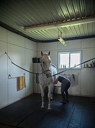 Barn Wash Stall