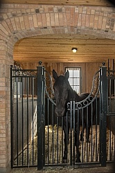 Stall with Horse