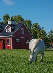 Small barn Exterior
