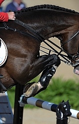 Alltech WEG Show Jumping Leg Protection Jumpers