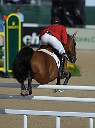Alltech WEG Show Jumping Leg Protection Jumpers