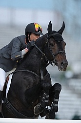 Alltech WEG Show Jumping Leg Protection Jumpers