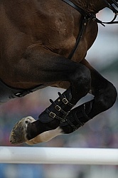 Alltech WEG Show Jumping Leg Protection Jumpers