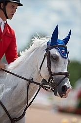 Andres Rodriguez and Darlon Von Groenhove, BWP