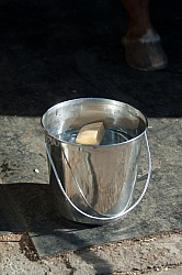 Removal of Stick From Eye