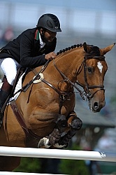 Alltech WEG Show Jumping Leg Protection Jumpers