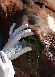 Removal of Stick From Eye