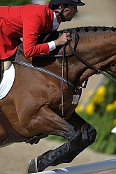 Alltech WEG Show Jumping Leg Protection Jumpers