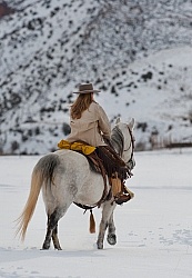 Winter Riding Western Vertical