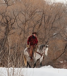 Winter Riding Western Vertical