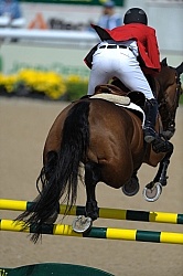 Alltech WEG Show Jumping Leg Protection Jumpers