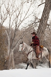 Winter Riding Western Vertical