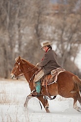 Winter Riding Western Vertical