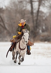 Winter Riding Western Vertical