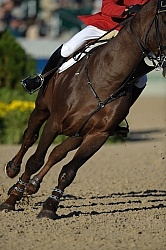 Alltech WEG Show Jumping Leg Protection Jumpers