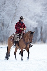 Winter Riding Western Vertical
