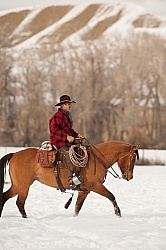 Winter Riding Western Vertical