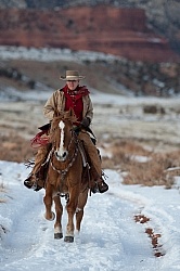 Winter Riding Western Vertical