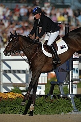 Alltech WEG Show Jumping Leg Protection Jumpers