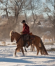 Winter Riding Western Vertical
