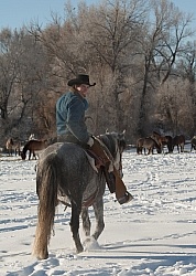 Winter Riding Western Vertical