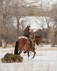 Winter Western Christmas Winter Christmas Holiday Theme