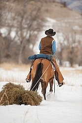 Winter Western Christmas Winter Christmas Holiday Theme