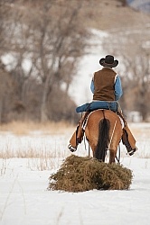 Winter Western Christmas Winter Christmas Holiday Theme