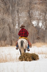 Winter Western Holiday Theme