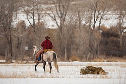 Winter Western Holiday Theme Mustang