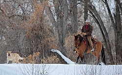 Winter Riding Western Horizontal