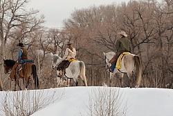 Winter Riding Western Horizontal