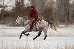 Winter Riding Western Horizontal