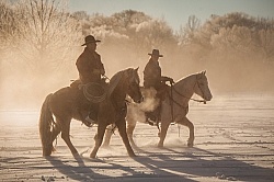 Winter Riding Western Horizontal