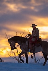 Winter Western Silhouette