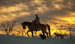 Winter Western Silhouette
