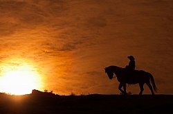 Winter Western Silhouette
