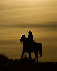 Winter Western Silhouette