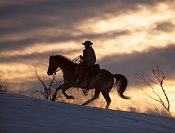 Winter Western Silhouette