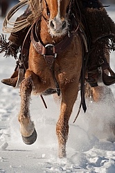 Western Riding Winter Vertical